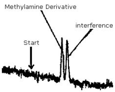 Chromatogram of the analytical detection limit