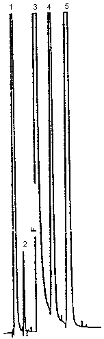 Packed column chromatogram